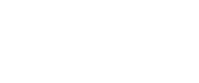 VOLT Europa